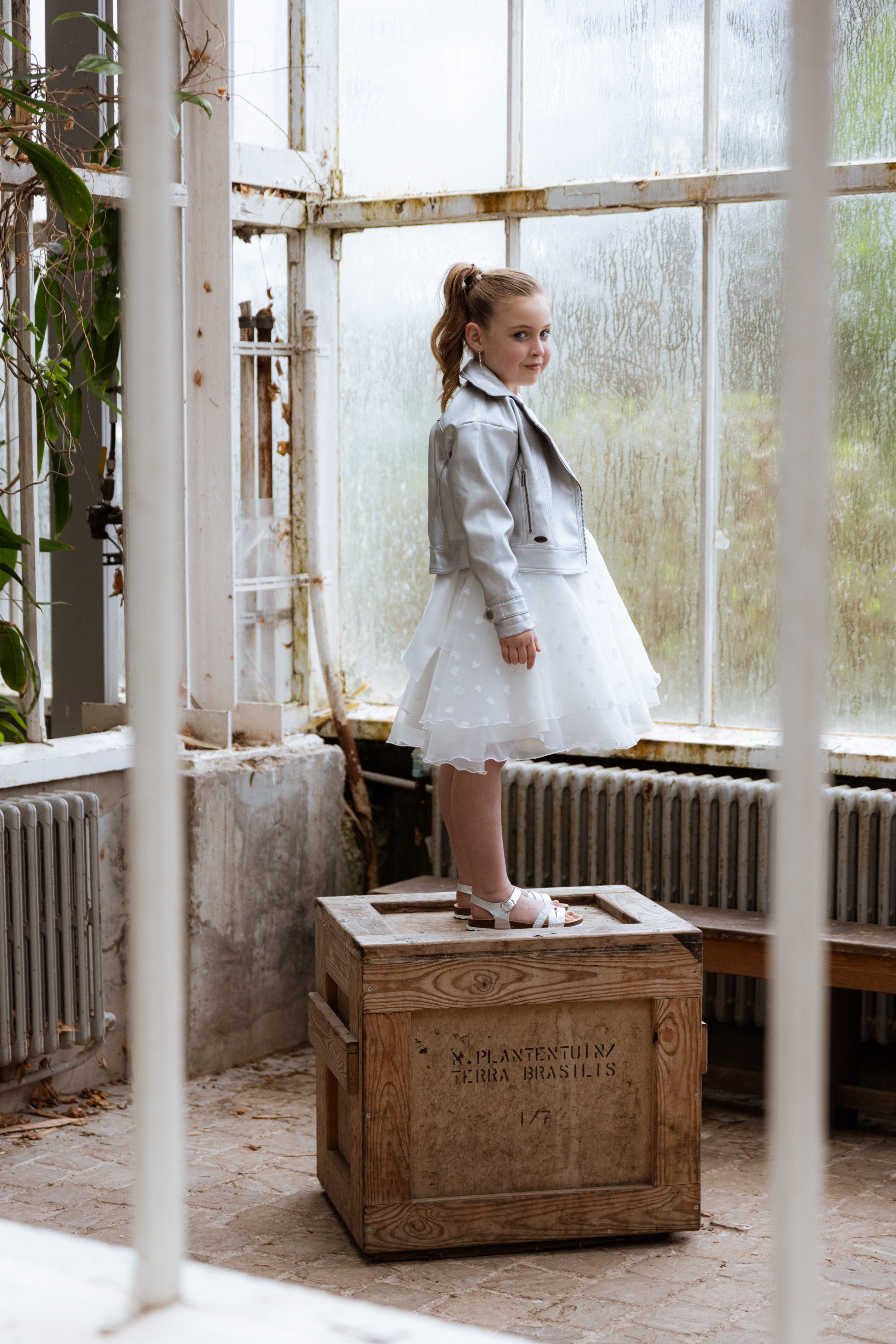 Alice-6
